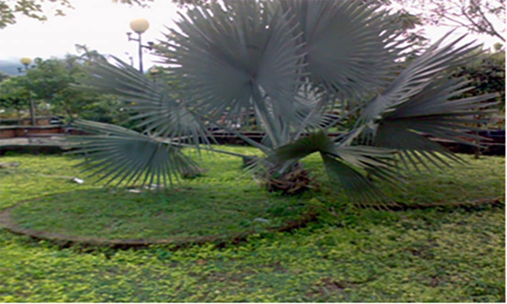 Remodelación y adecuación