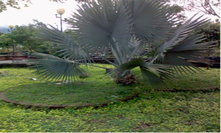 Remodelación y adecuación