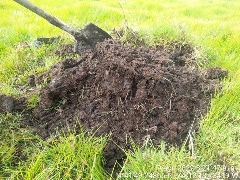 WhatsApp Image 2023-01-16 at 2.04.37 PM (1)