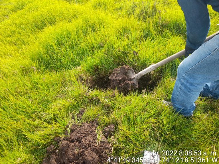 WhatsApp Image 2023-01-16 at 2.04.37 PM