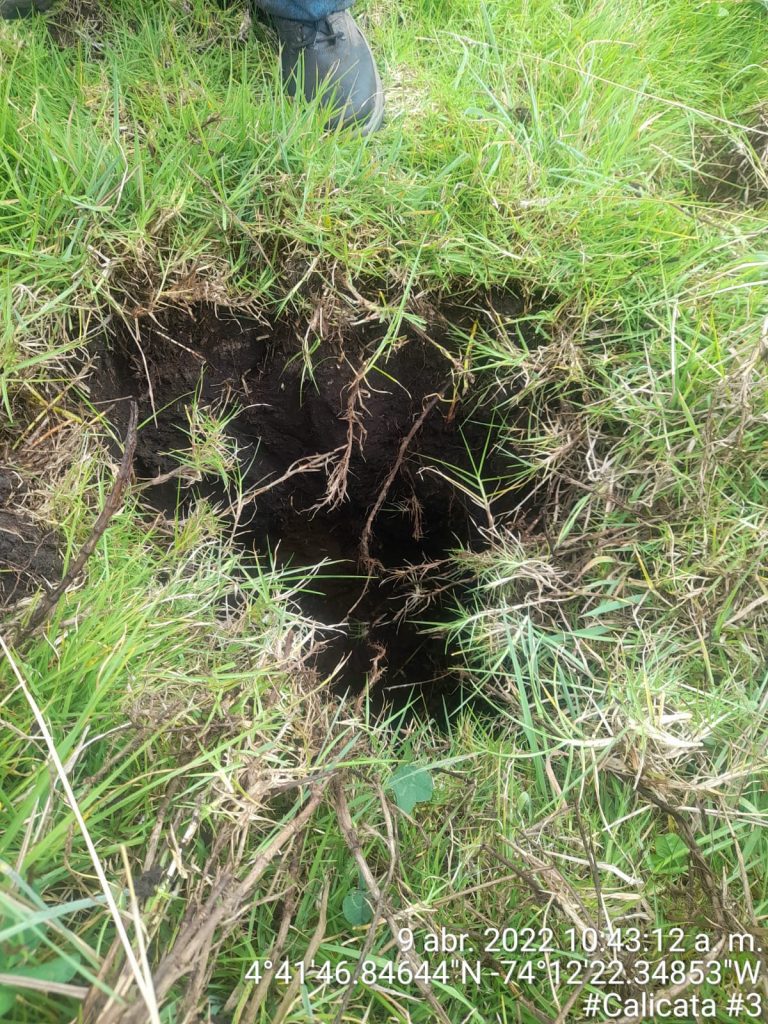 WhatsApp Image 2023-01-16 at 2.04.38 PM (1)