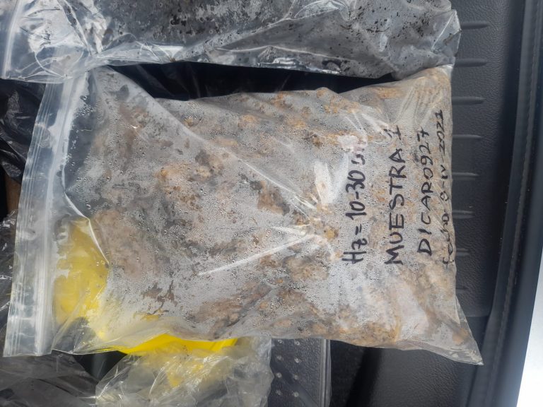 WhatsApp Image 2023-01-16 at 2.04.38 PM (3)