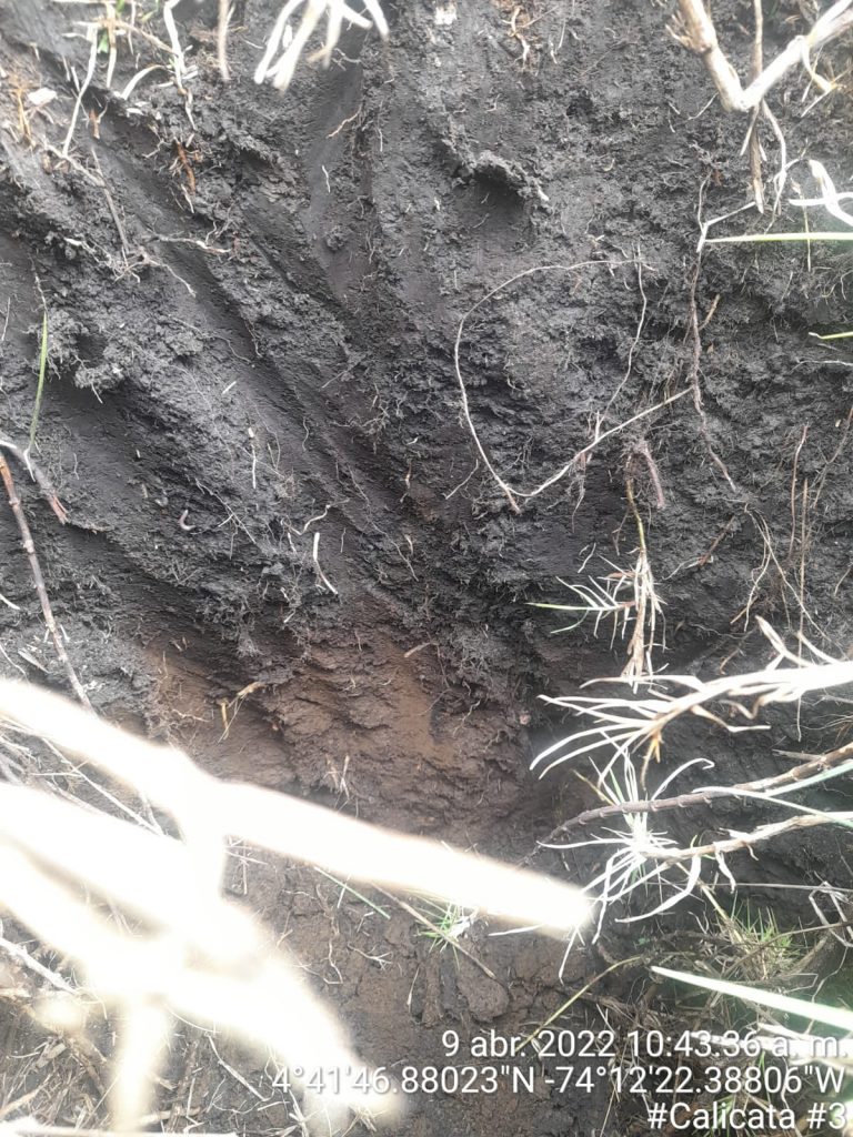 WhatsApp Image 2023-01-16 at 2.04.38 PM