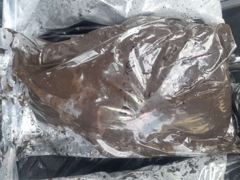 WhatsApp Image 2023-01-16 at 2.04.39 PM (1)