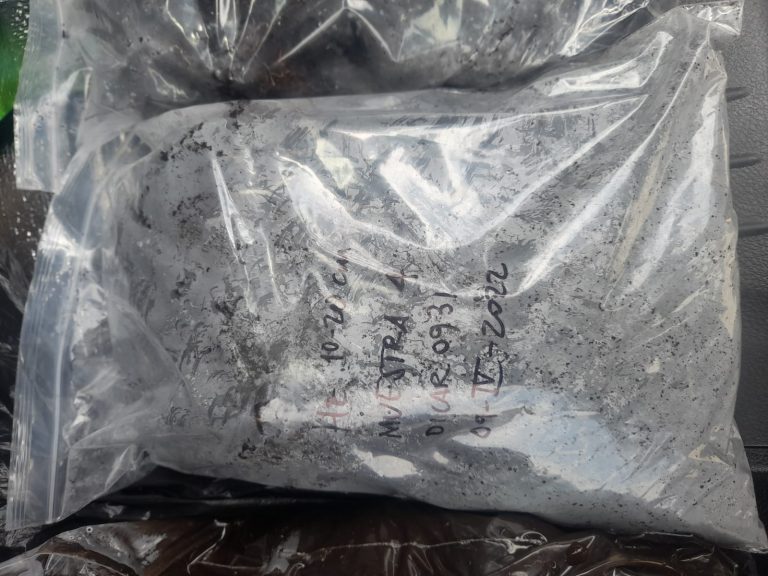 WhatsApp Image 2023-01-16 at 2.04.39 PM