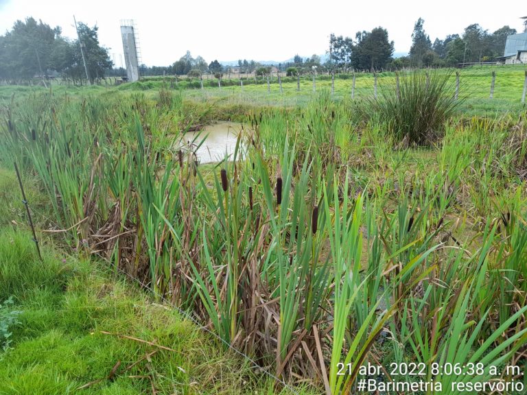 WhatsApp Image 2023-01-16 at 2.04.48 PM (1)